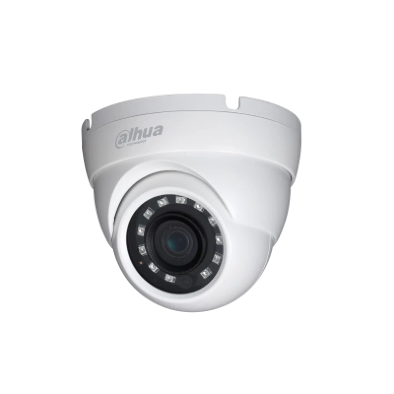Ritar Elettronica 2MP IR Eyeball Network Camera