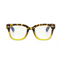 Havana yellow mutard