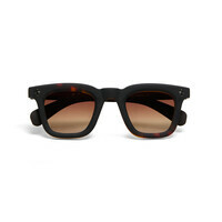 Havana Black (lenti marroni)