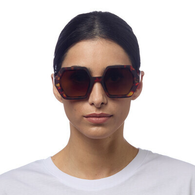 OKKIA Sun Emma   classic havana