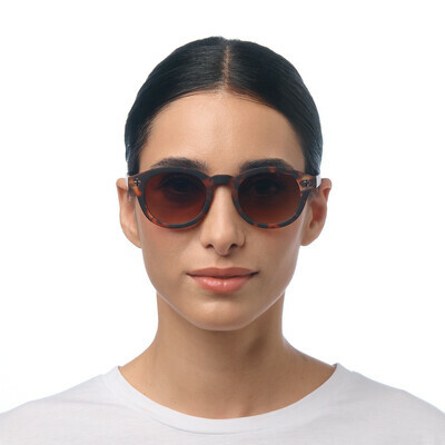 OKKIA Sun Milano   classic havana