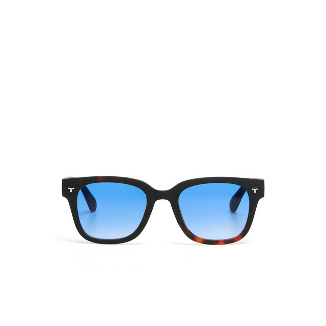 OKKIA Sol Giovanni   havana black (lentes azules)