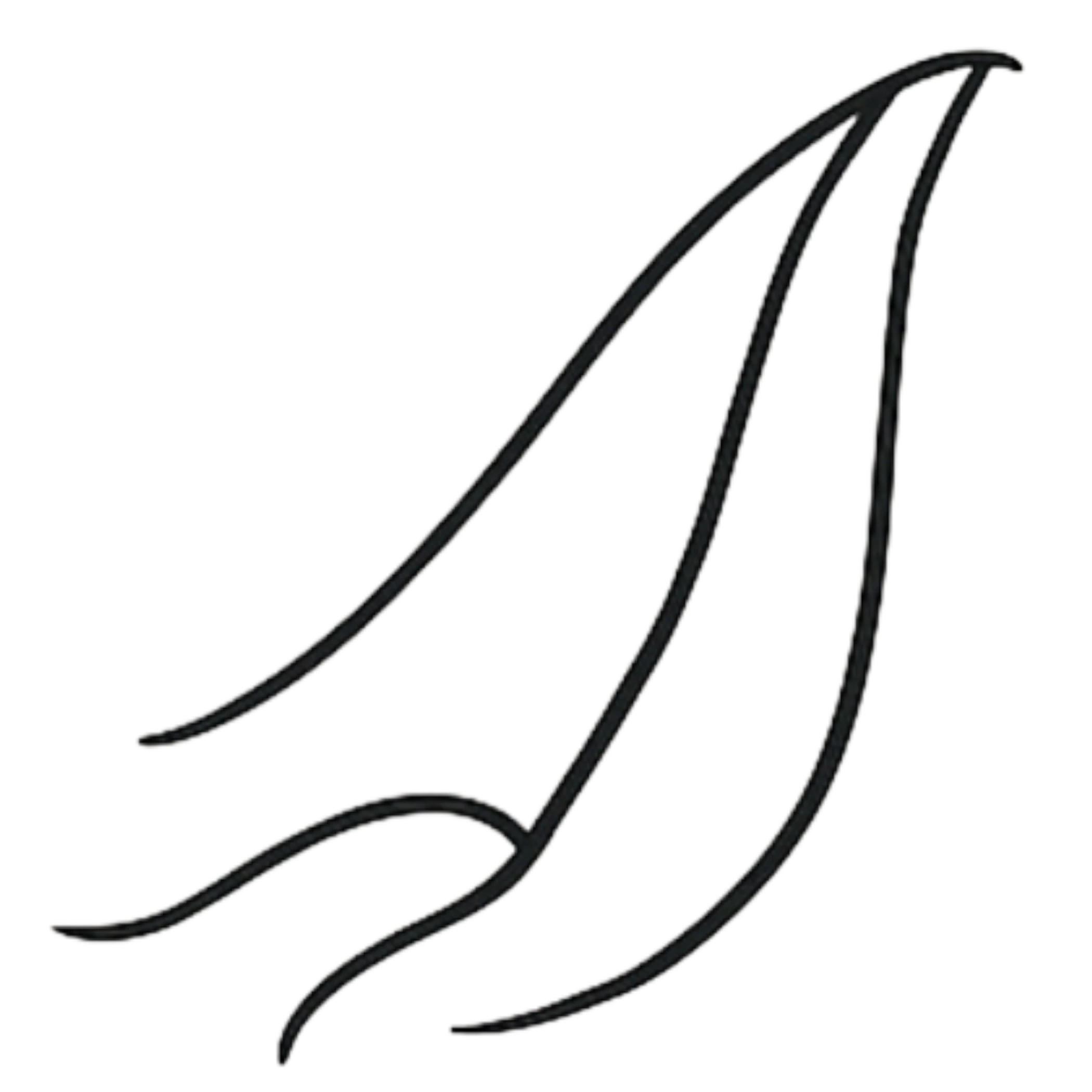 Pregio dei Materiali