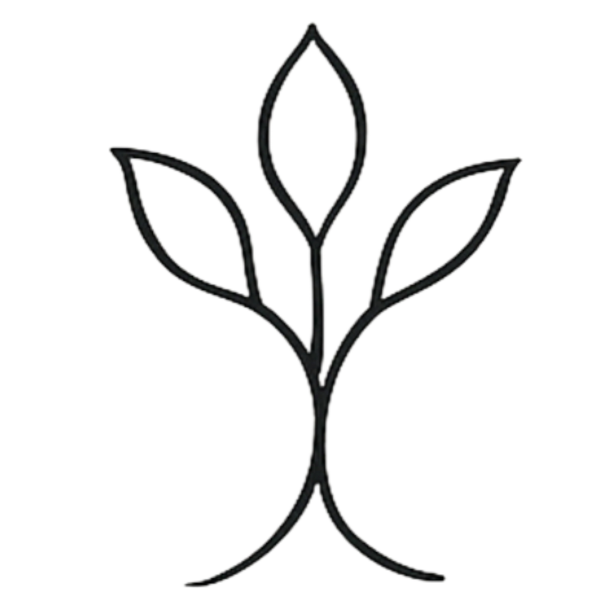 Un’Eredità di Famiglia