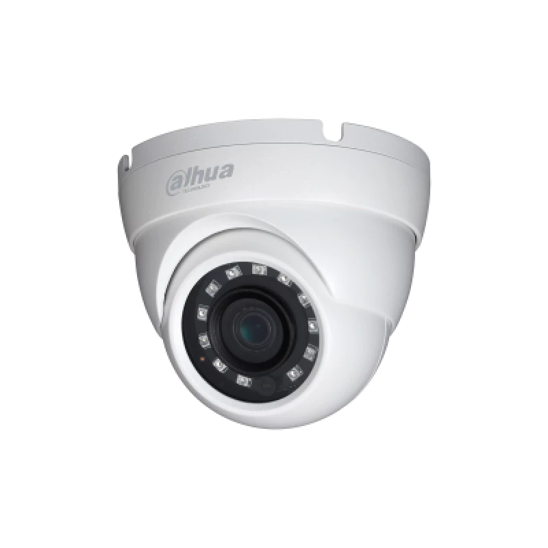 Ritar Elettronica 2MP Starlight HDCVI IR Eyeball Camera