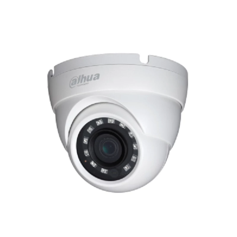Ritar Elettronica 4MP HDCVI WDR IR Eyeball Camera