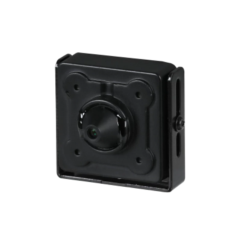 Ritar Elettronica 2MP Starlight HDCVI Pinhole Camera