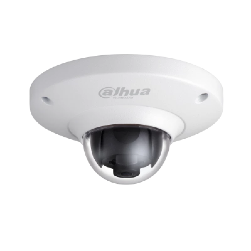 Ritar Elettronica 4MP HDCVI WDR Fisheye Camera