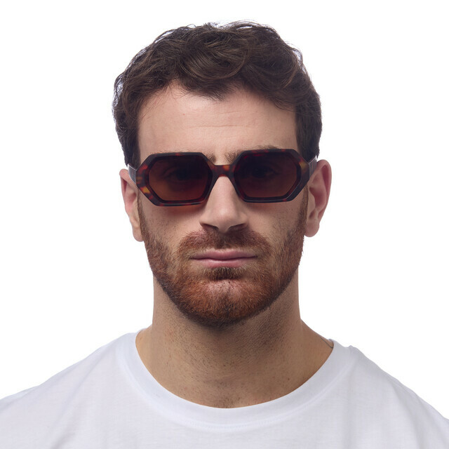 OKKIA Sole Andrea   classic havana